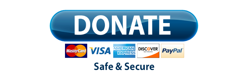 Donate with Stripe button